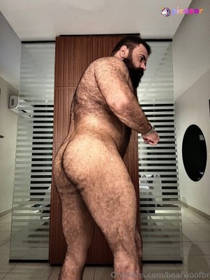 bearwoofbr photo #56 photo n 56