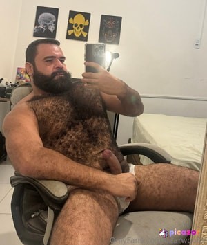 bearwoofbr N4