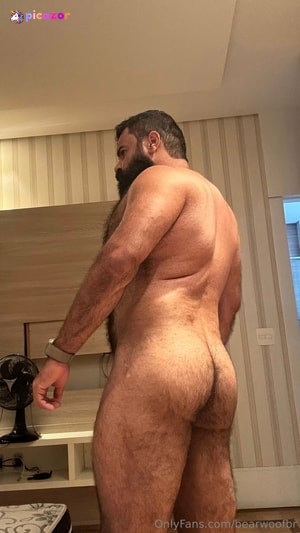 bearwoofbr N11