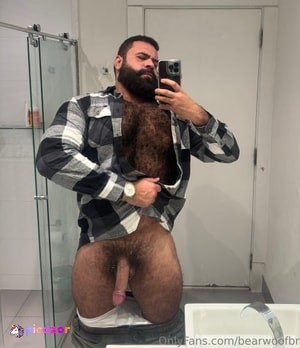 bearwoofbr N7