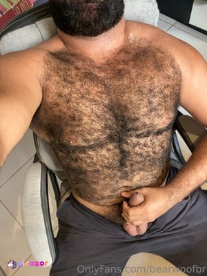 bearwoofbr N1
