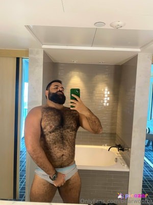 bearwoofbr N3