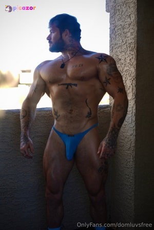 domluvsfree photo #19 photo n 19