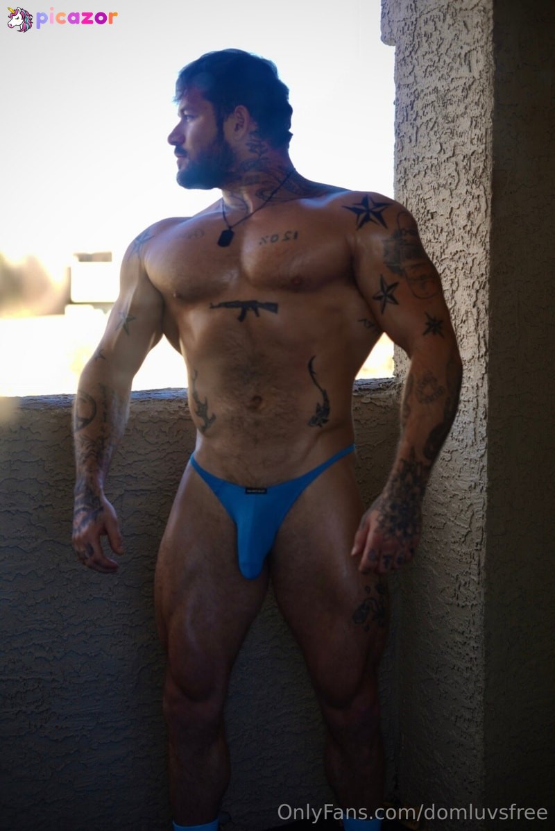 domluvsfree N19