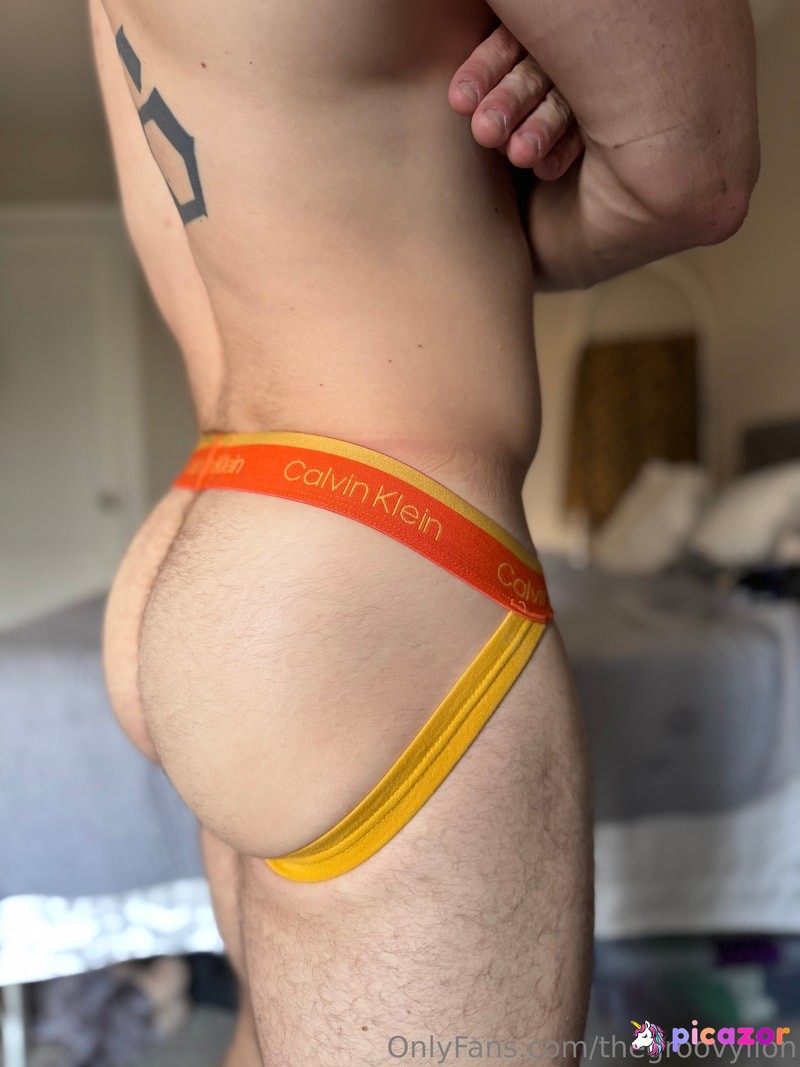 thegroovylion N24