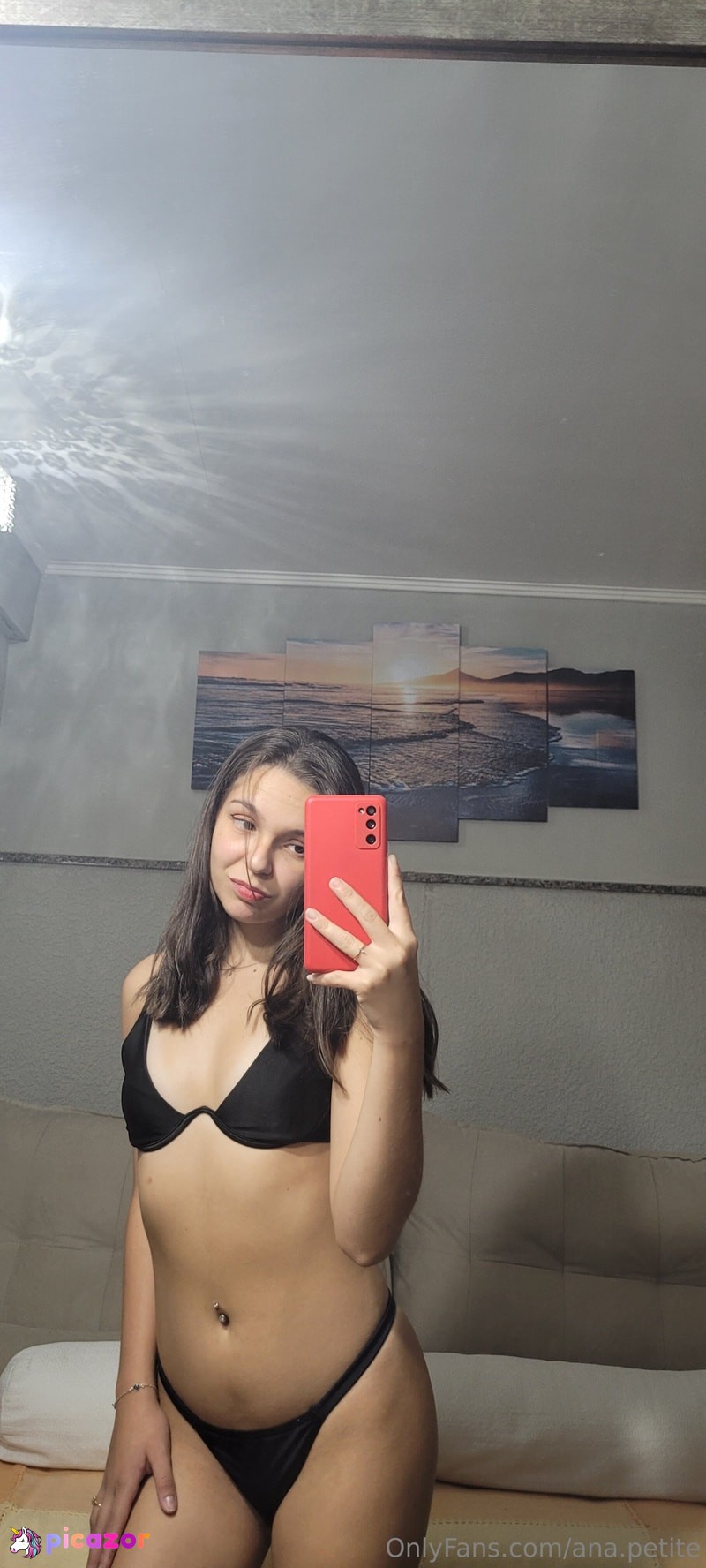 ana.petite N32