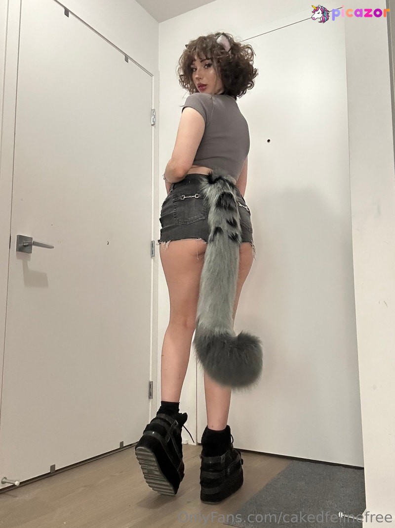 cakedfelinefree N15