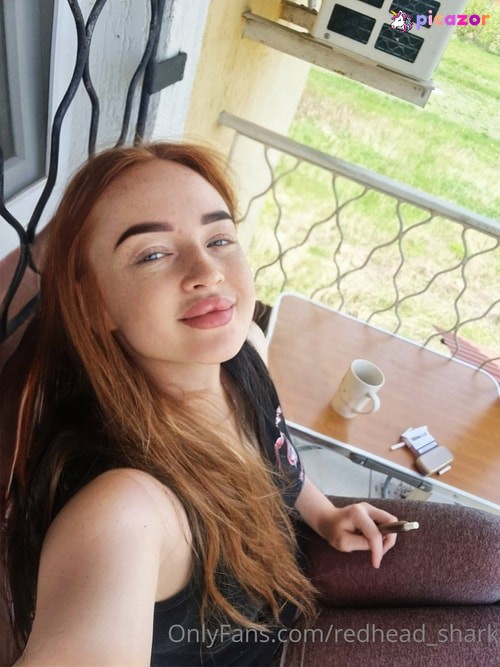 Redhead_shark - Image