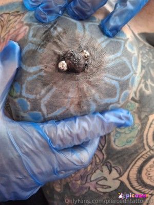 piercedntattooed photo #25 photo n 25