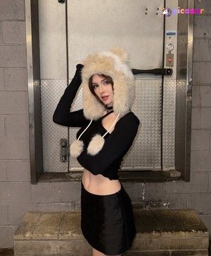 Tabby.catt N4