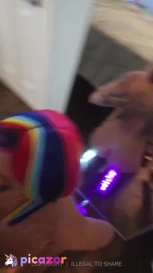 rainbownympho video #7 photo n 7