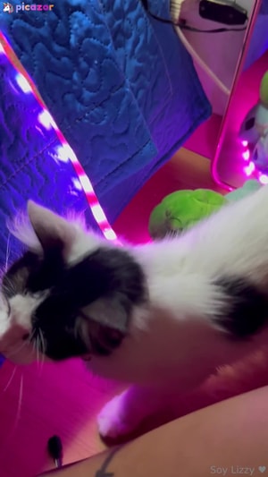 soylizzy video #9 photo n 9