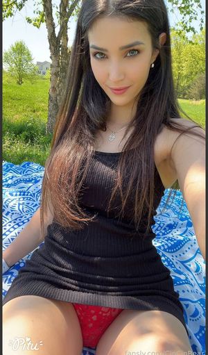 cincinbear-1 photo #24 photo n 24