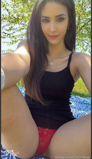 cincinbear-1 photo #23 photo n 23