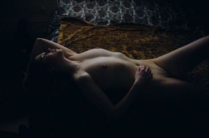 icelandic-selkie photo #157 photo n 157