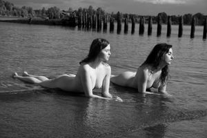icelandic-selkie photo #332 photo n 332