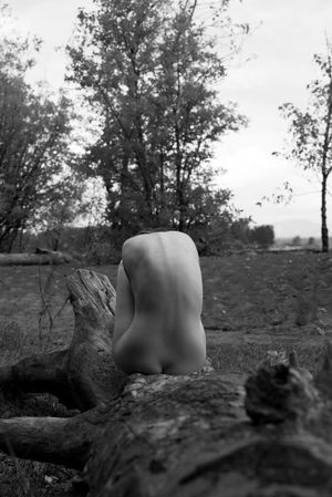 icelandic-selkie photo #320 photo n 320