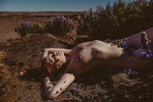 icelandic-selkie photo #282 photo n 282