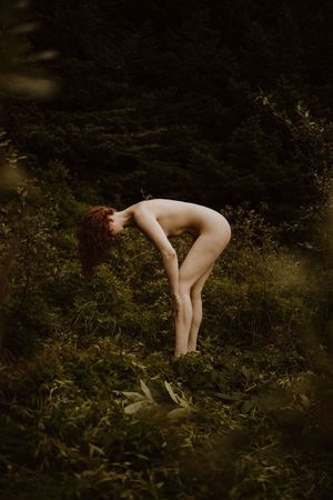 icelandic-selkie photo #237 photo n 237