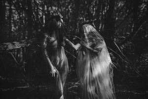 icelandic-selkie photo #73 photo n 73