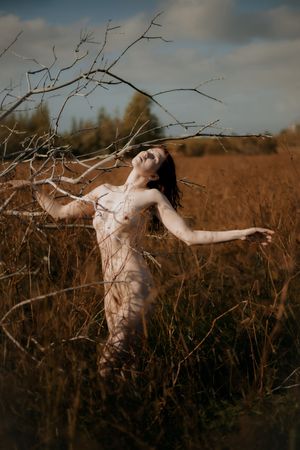 icelandic-selkie photo #35 photo n 35