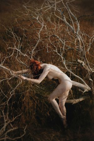 icelandic-selkie photo #41 photo n 41