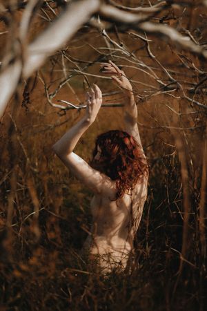 Icelandic Selkie N3