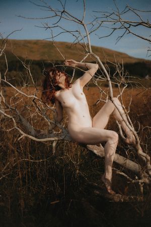 icelandic-selkie photo #38 photo n 38