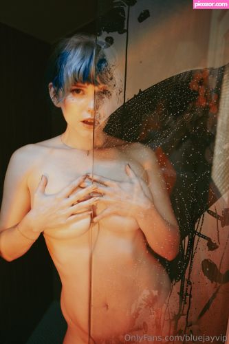 Bluejay - Image