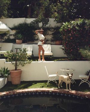 devin-brugman-1 photo #483 photo n 483
