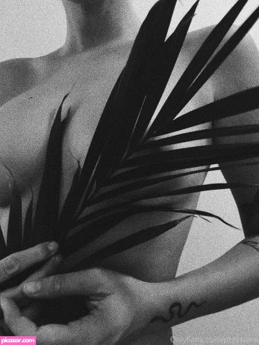 Presley Rhodes - Image
