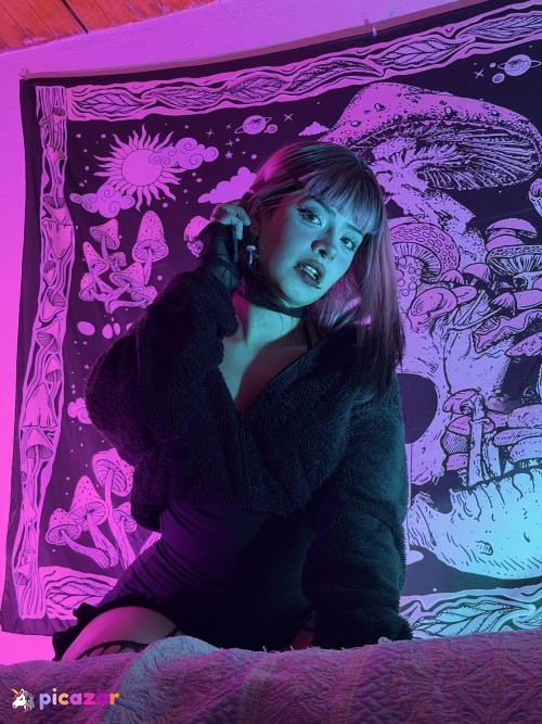 princesita_valija_ - Image