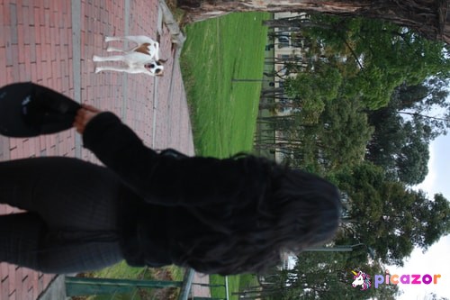 princesita_valija_ - Image