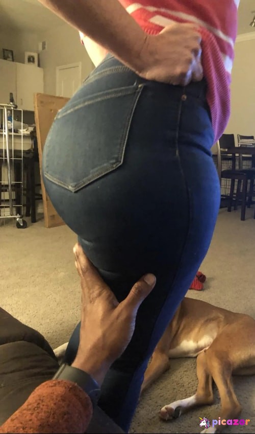 Gilfpawglife - Image