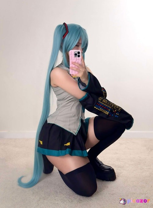 Lila minx - Image