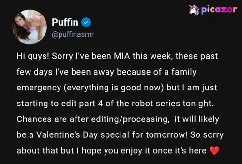 ASMR Puffin  - Image
