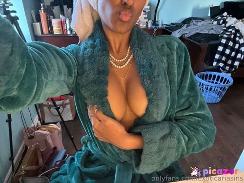 exoticariasins - Image