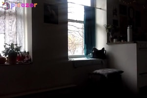 unlucky_pumpkin5936 video #509 photo n 509