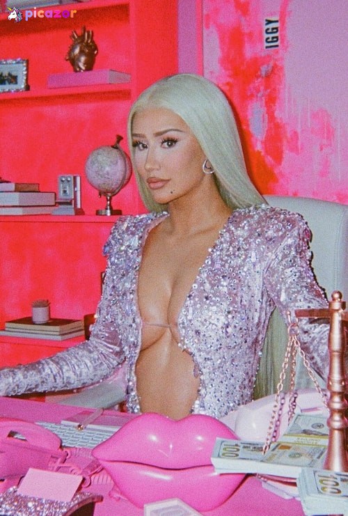 Iggy Azalea - Image