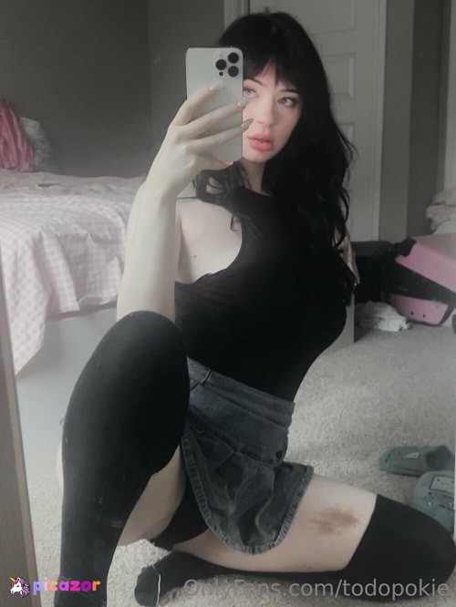 Todopoki  - Image