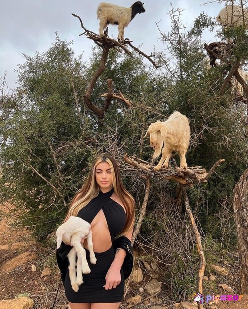 Greta Jasmin El Moktadi - Image
