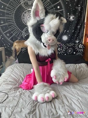 Ikkle vixen N11