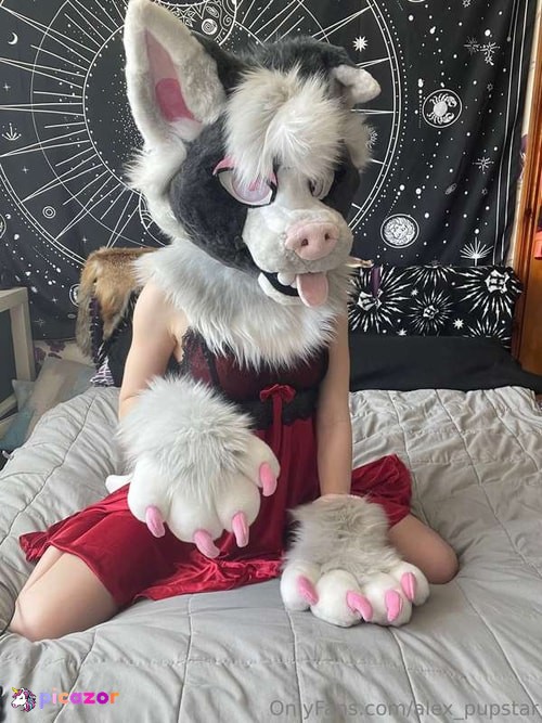 Ikkle vixen - Image