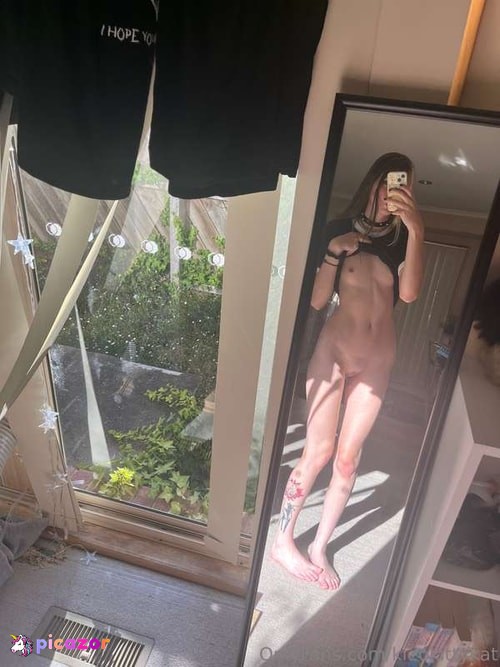 kleokittykat - Image