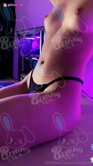 laBunnyIce N4