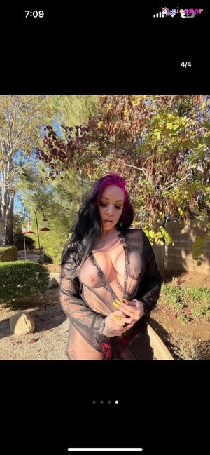 salicerose photo #10 photo n 10
