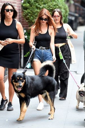 emily-ratajkowski-1 photo #2381 photo n 2381
