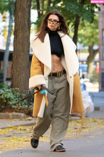 Emily Ratajkowski - Image