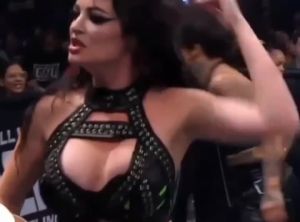 paigewwe-1 video #275 photo n 275