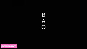 sir-bao-1 video #14 photo n 14